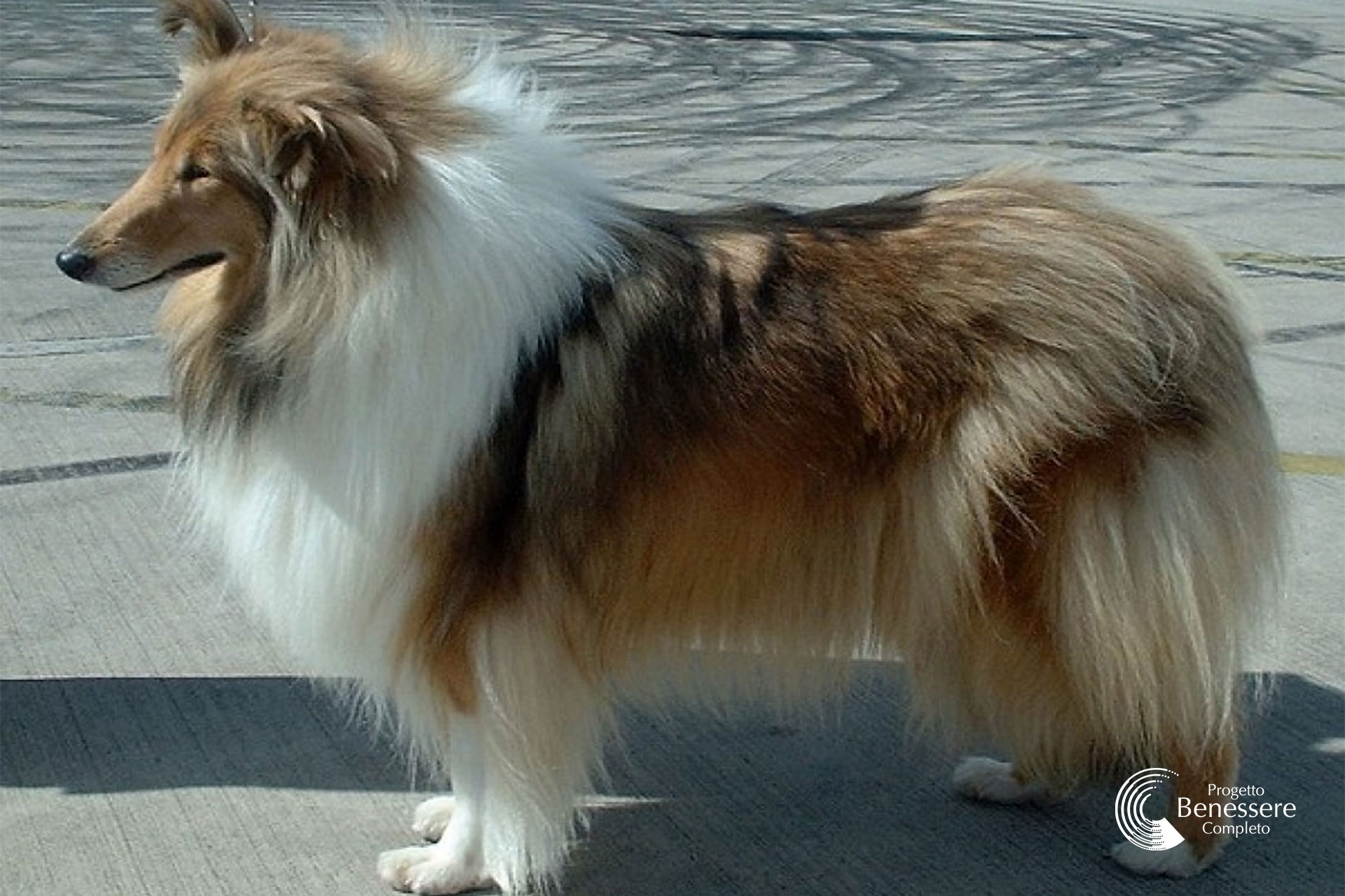 Vincere la paura con un solo trattamento a distanza