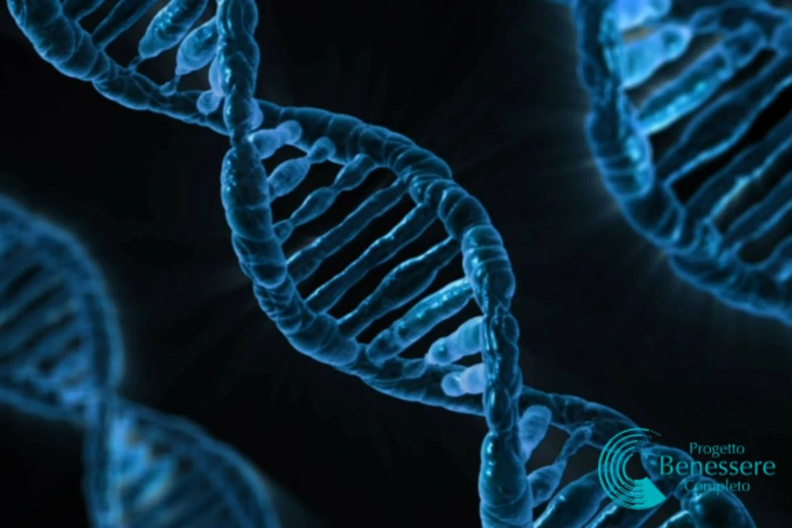 L-Carnitina l'aiuto per il Cuore: a cosa serve e quando &egrave; importante assumerla