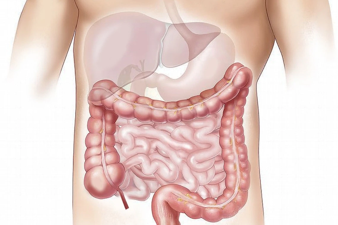 Colon irritabile e gonfiore: il grande miglioramento grazie al riequilibrio energetico