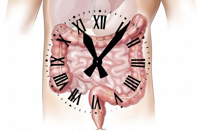 Sindrome del colon irritabile: cause, sintomi e soluzioni